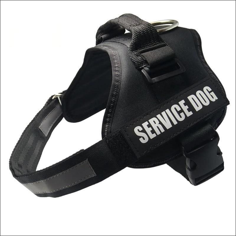 All-In-One No Pull Dog Harness - black / L - Harnesses