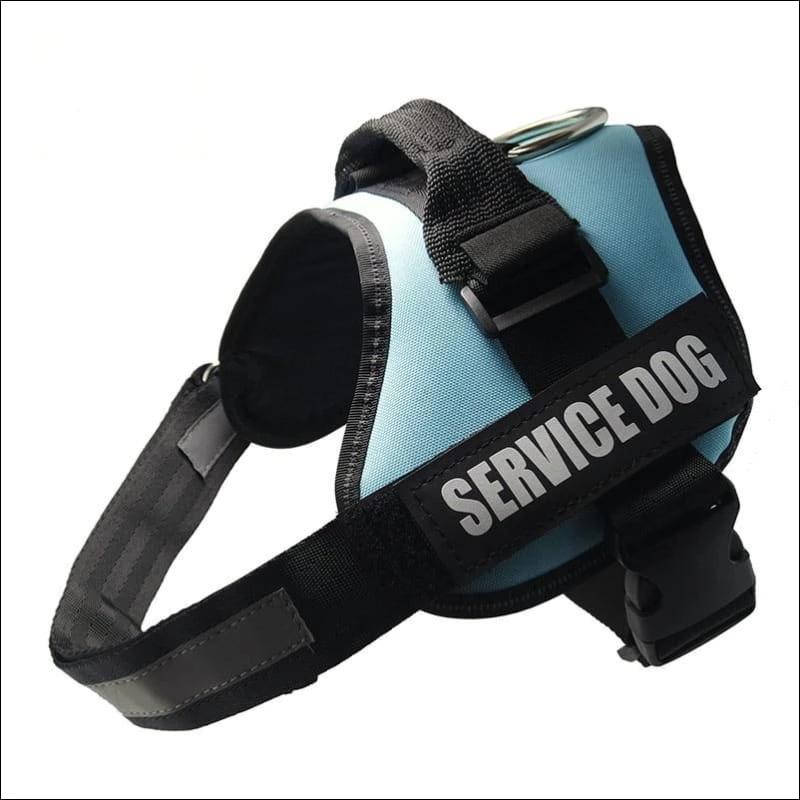 All-In-One No Pull Dog Harness - blue / L - Harnesses