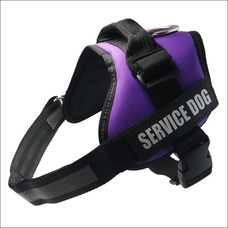 All-In-One No Pull Dog Harness - Harnesses