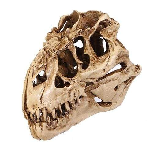 Amazing Dinosaur skull fossil model - Statues & Sculptures