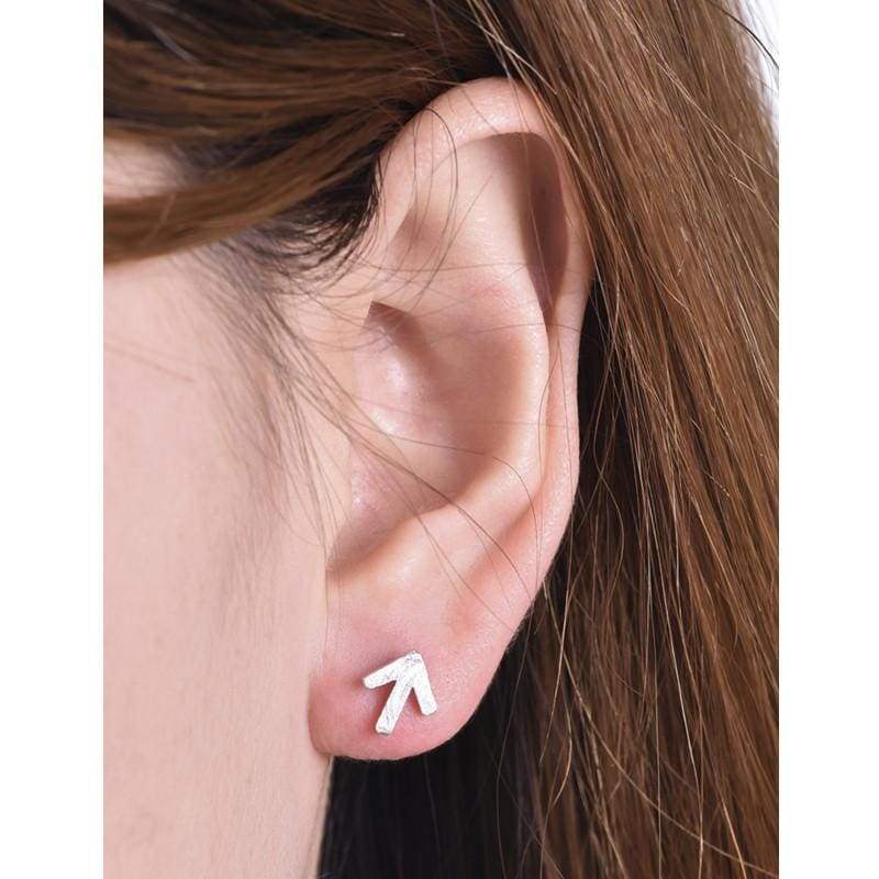 Animal And Pineapple Stud Earrings - Stud Earrings