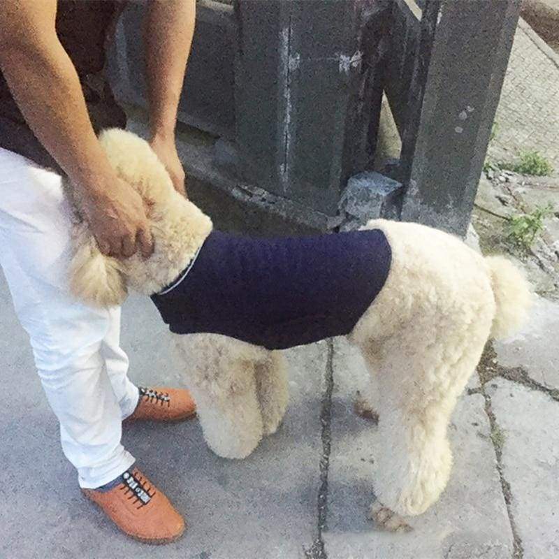 Dog Anti Anxiety Vest - Dog Vests