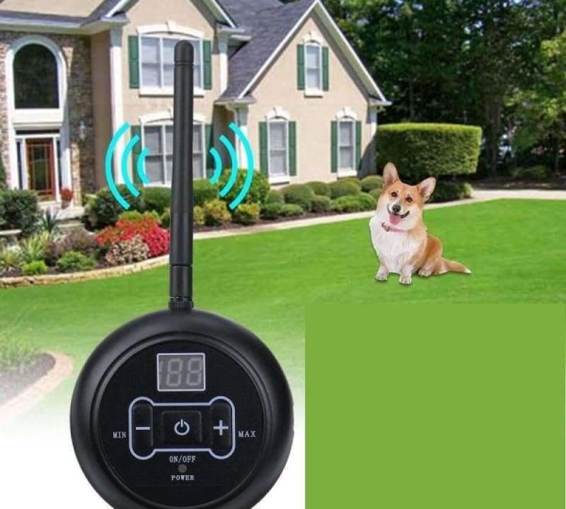 Electric Invisible Dog Fence Just For You - EU Plug - Dog Accessories