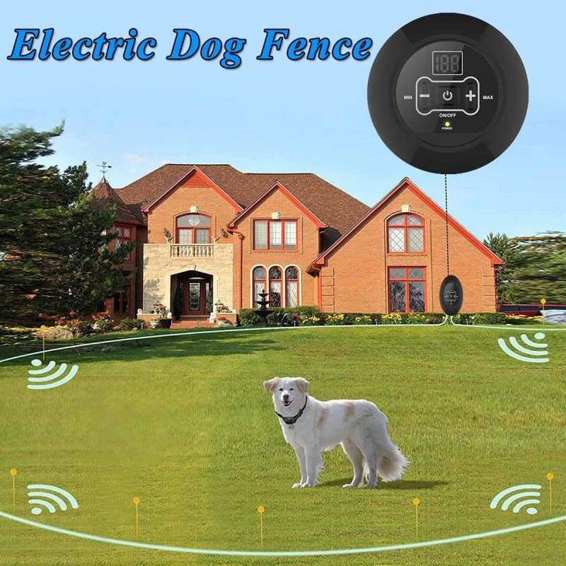 Electric Invisible Dog Fence Just For You - Dog Accessories