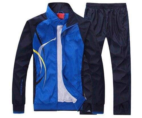 Men Sportswear Spring Autumn - blue / L - Sportswear