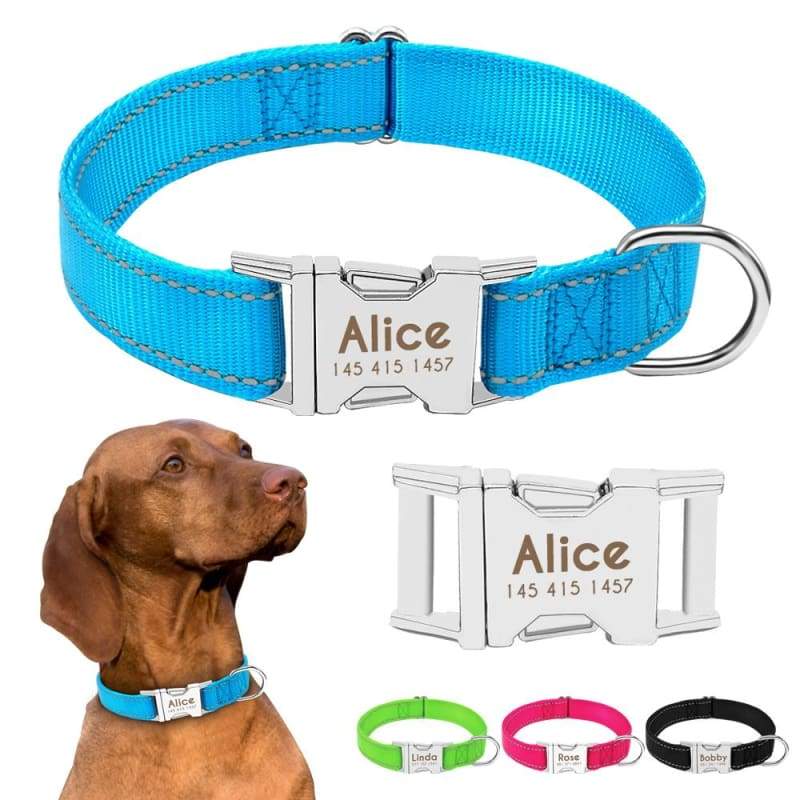 Personalized Dog Collar Just For You - Collars
