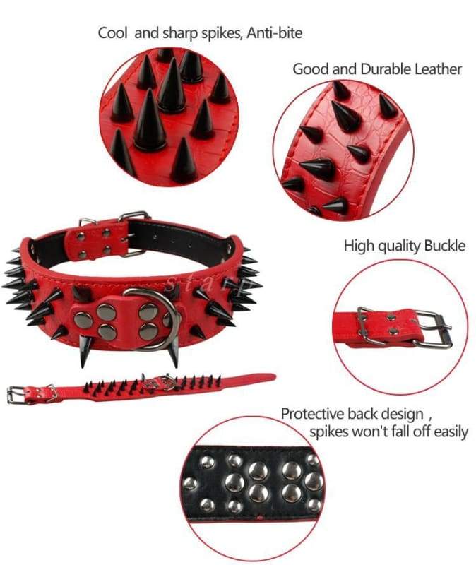 Spiked Studded Leather Dog Collar - Collars