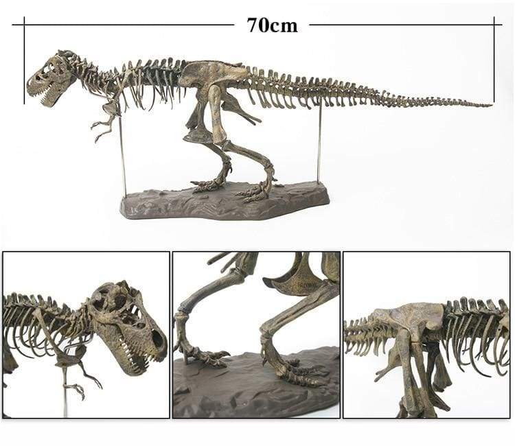T-Rex Skeleton Model - Beach & Outdoor Sandals