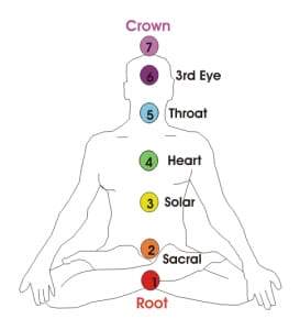 The 7 chakra system